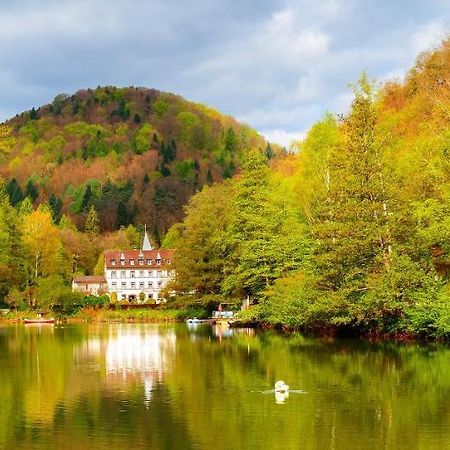 Hotel Pfaelzer Wald Бад-Бергцаберн Екстер'єр фото