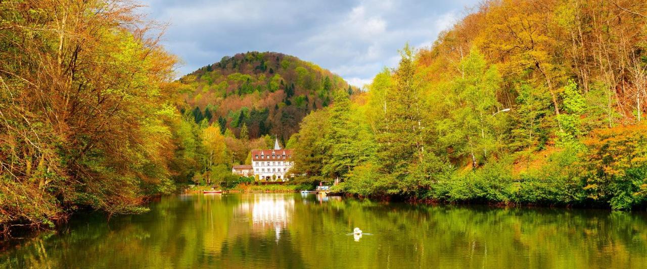 Hotel Pfaelzer Wald Бад-Бергцаберн Екстер'єр фото