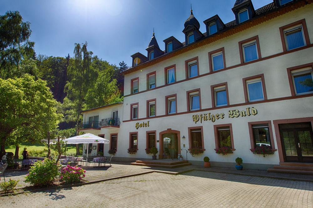 Hotel Pfaelzer Wald Бад-Бергцаберн Екстер'єр фото